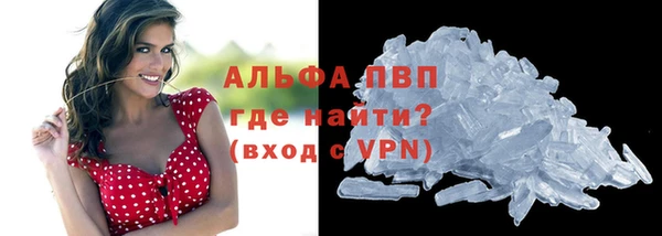 ГАЛЛЮЦИНОГЕННЫЕ ГРИБЫ Белоозёрский