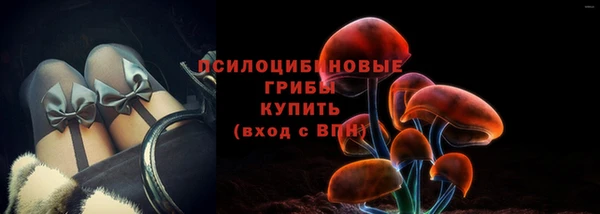 2c-b Белокуриха