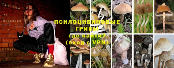 MDMA Premium VHQ Богданович
