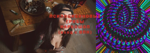 ГАЛЛЮЦИНОГЕННЫЕ ГРИБЫ Белоозёрский