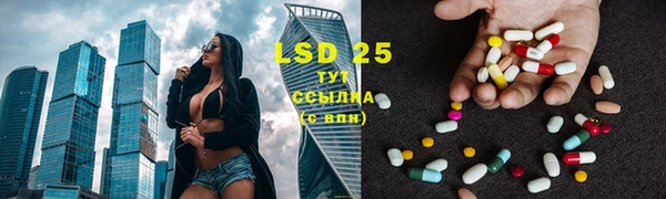 ГАЛЛЮЦИНОГЕННЫЕ ГРИБЫ Белоозёрский