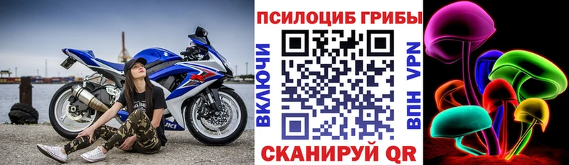 Псилоцибиновые грибы мухоморы  Гатчина 